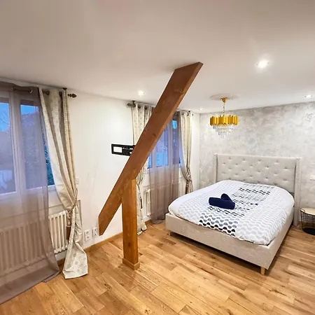 Maison Exceptionnelle A L'esplanade Avec Jardin